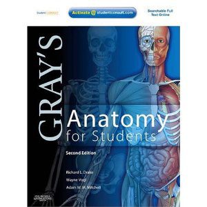 Gray's Anatomy for Students ISBN 9780443069529